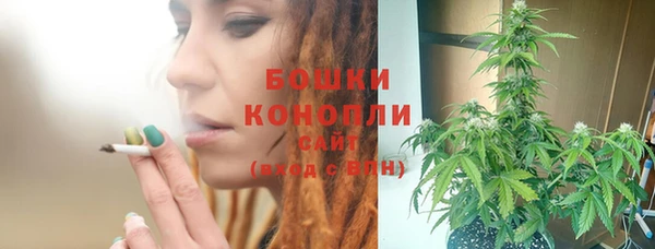 ГАЛЛЮЦИНОГЕННЫЕ ГРИБЫ Богородск