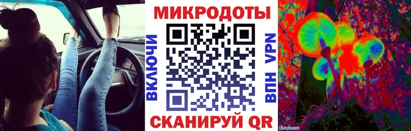 Купить  Ершов  Галлюциногенные грибы прущие грибы 